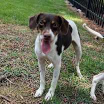 Thumbnail photo of Matilda #3