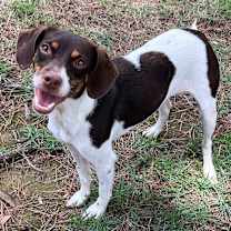 Thumbnail photo of Matilda #4