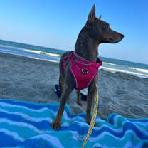 Thumbnail photo of Zoe #1