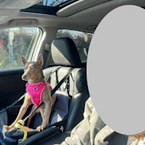 Thumbnail photo of Zoe #3