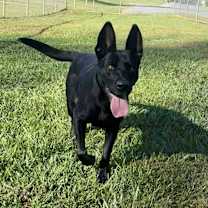 Thumbnail photo of Centry #2