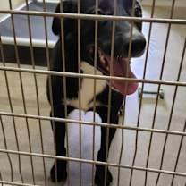 Thumbnail photo of Jack #1