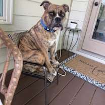 Thumbnail photo of Chowder #4