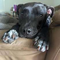 Thumbnail photo of Bobby #3