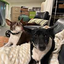 Thumbnail photo of Finn #4