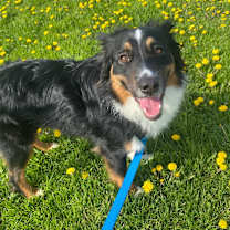 Thumbnail photo of Nappa #1