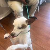 Thumbnail photo of CHIP* #3