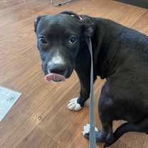 Thumbnail photo of Princess #1