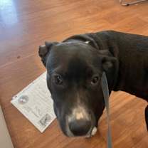 Thumbnail photo of Princess #3