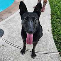 Thumbnail photo of Cleopatra #1