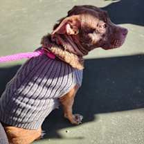 Thumbnail photo of Reba #3