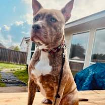 Thumbnail photo of Reba #4