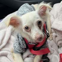 Thumbnail photo of CASPER #4