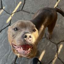 Thumbnail photo of Louise #2