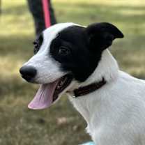 Thumbnail photo of Gravy #1