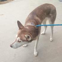 Thumbnail photo of SPIRIT #3