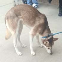 Thumbnail photo of SPIRIT #4