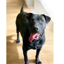 Thumbnail photo of STORM #3