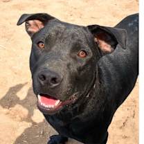 Thumbnail photo of STORM #4