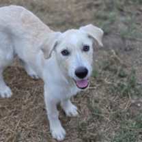 Thumbnail photo of Mona Lisa #2