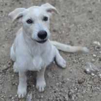 Thumbnail photo of Mona Lisa #3