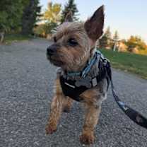 Thumbnail photo of Emma 4496 #3