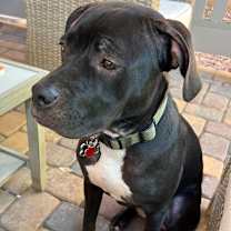 Thumbnail photo of Jasper #1