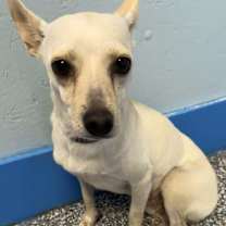 Thumbnail photo of Pebbles #2