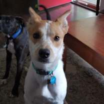 Thumbnail photo of Inara #3