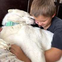 Thumbnail photo of Bailey #2