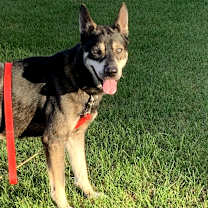 Thumbnail photo of Zeek #1