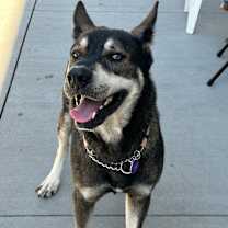 Thumbnail photo of Zeek #3