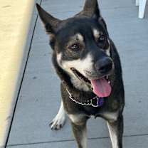 Thumbnail photo of Zeek #4