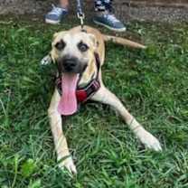 Thumbnail photo of Zack #2