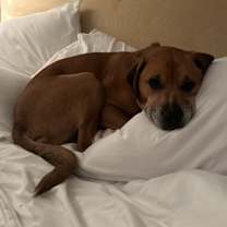 Thumbnail photo of Jax #1