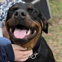 Thumbnail photo of Zora the Explorer #1