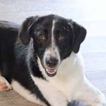 Thumbnail photo of June #2