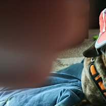 Thumbnail photo of Winston #2