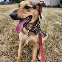 Thumbnail photo of Kermit #4