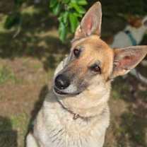 Thumbnail photo of Camilla #2