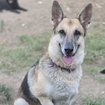 Thumbnail photo of Camilla #3