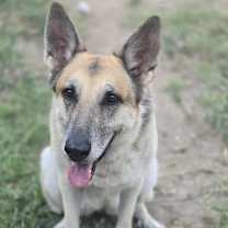 Thumbnail photo of Camilla #4