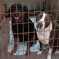 Thumbnail photo of Coffee #1