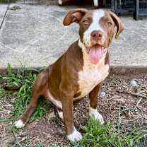 Thumbnail photo of Dunston #2