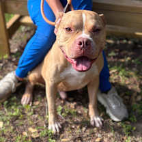 Thumbnail photo of Keto #2