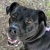 Thumbnail photo of Avery #1