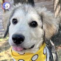 Thumbnail photo of Trudy #1