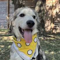 Thumbnail photo of Trudy #4