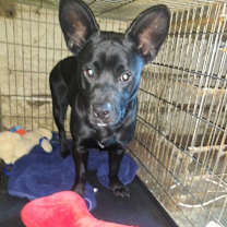 Thumbnail photo of FRANCO & BRIE #1