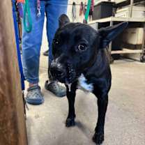 Thumbnail photo of FRANCO & BRIE #3